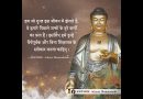 The suffering we endure in this life  | Quotes | Acharya Dhammayasha | आचार्य धम्मयश