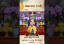 अपने बोझ को त्यागें : स्वतंत्रता पर बुद्ध की शिक्षा |  Acharya Dhammayasha | आचार्य धम्मयश