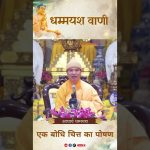 एक बोधि चित्त का पोषण |  Acharya Dhammayasha | आचार्य धम्मयश