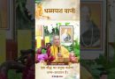 एक बौद्ध का प्रमुख कर्तव्य धम्म-अध्ययन है |  Acharya Dhammayasha | आचार्य धम्मयश