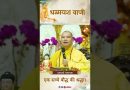 एक सच्चे बौद्ध की श्रद्धा। | Acharya Dhammayasha | आचार्य धम्मयश