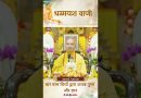 चार ब्रह्म विहारों द्वारा उत्पन्न पुण्य और ज्ञान | Acharya Dhammayasha | आचार्य धम्मयश