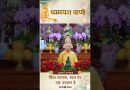 चिंता त्यागना, स्वयं पर एक उपकार है  | Master Acharya Dhammayasha | आचार्य धम्मयश