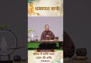 जीवन में शांति पाना : ध्यान की शक्ति |  Acharya Dhammayasha | आचार्य धम्मयश