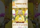 द्वेष से मात्र स्वयं को दुख होता है। | Acharya Dhammayasha | आचार्य धम्मयश