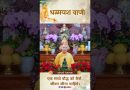 धम्म हमारे दैनिक जीवन में विद्यमान है | Acharya Dhammayasha | आचार्य धम्मयश
