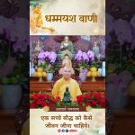 धम्म हमारे दैनिक जीवन में विद्यमान है | Acharya Dhammayasha | आचार्य धम्मयश