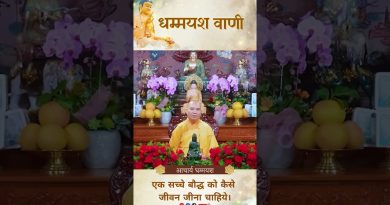 धम्म हमारे दैनिक जीवन में विद्यमान है | Acharya Dhammayasha | आचार्य धम्मयश