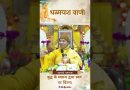 बुद्ध के स्वरूप द्वारा स्वयं पर चिंतन |  Acharya Dhammayasha | आचार्य धम्मयश