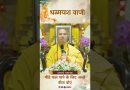 मीठे फल पाने के लिए अच्छे बीज बोएं |  Acharya Dhammayasha | आचार्य धम्मयश