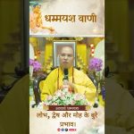 लोभ, द्वेष और मोह के बुरे प्रभाव। | Acharya Dhammayasha | आचार्य धम्मयश