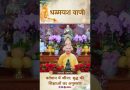 वर्तमान में जीना : बुद्ध की शिक्षाओं का अनुसरण |  Acharya Dhammayasha | आचार्य धम्मयश