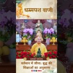 वर्तमान में जीना : बुद्ध की शिक्षाओं का अनुसरण |  Acharya Dhammayasha | आचार्य धम्मयश