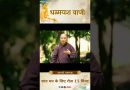 शांत मन के लिए रोज़ 15 मिनट| | Acharya Dhammayasha | आचार्य धम्मयश