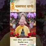 सजग जीवन: पुण्य व करुणा विकसित करना |  Acharya Dhammayasha | आचार्य धम्मयश