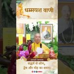 सद्धर्म से लोभ, द्वेष और मोह का शमन। | Acharya Dhammayasha | आचार्य धम्मयश