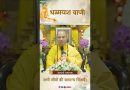 सभी जीवों की सामान्य चिंताएँ |  Acharya Dhammayasha | आचार्य धम्मयश