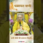 सभी जीवों की सामान्य चिंताएँ |  Acharya Dhammayasha | आचार्य धम्मयश