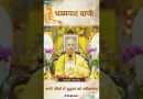 सभी जीवों में बुद्धत्व को स्वीकारना |  Acharya Dhammayasha | आचार्य धम्मयश