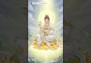 सुखावती लोक के अमिताभ बुद्ध | Acharya Dhammayasha | आचार्य धम्मयश