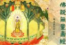 【佛說觀無量壽經】| 净土佛教動畫片| 釋道盛法師法語