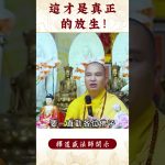 【法師法語】  ⚠️到底真正的放生是怎麼樣？你救眾生救對了嗎？｜釋道盛法師法語 #佛教 #阿彌陀佛 #學佛 #佛教 #釋道盛法師法語