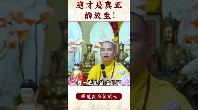 【法師法語】  ⚠️到底真正的放生是怎麼樣？你救眾生救對了嗎？｜釋道盛法師法語 #佛教 #阿彌陀佛 #學佛 #佛教 #釋道盛法師法語