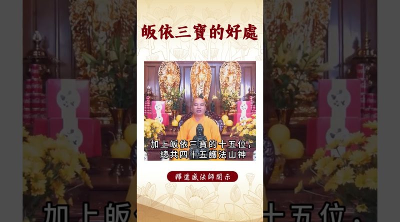 【法師法語】 你是否知道皈依三寶對生活的積極影響。｜釋道盛法師法語 #覺悟 #修行 #學佛 #佛教 #釋道盛法師法語