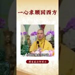 【法師法語】  修行人要怎麼樣才能往生西方極樂世界？｜釋道盛法師法語 #覺悟 #修行 #學佛 #佛教 #釋道盛法師法語