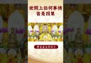 【法師法語】 師傅對我們說：世間上任何事情皆是因果!｜釋道盛法師法語