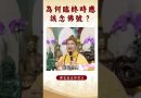 【法師法語】 臨終時念佛的深意：為何這麼重要？｜釋道盛法師法語 #覺悟 #修行 #學佛 #佛教 #釋道盛法師法語