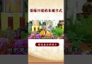 【法師法語】  菩薩行道的各種方式，你知道了嗎?｜釋道盛法師法語