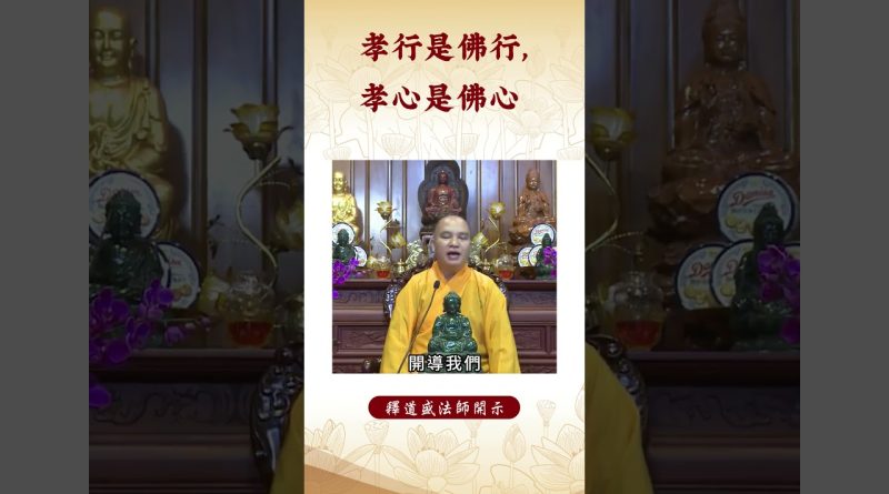 【法師法語】  身爲佛陀弟子的我們已經做好這一點了嗎？｜釋道盛法師法語 #覺悟 #修行 #學佛 #佛教 #釋道盛法師法語