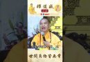 【法師法語】世間萬物皆無償｜釋道盛法師法語