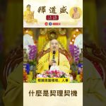 【法師法語】什麼是契理契機｜釋道盛法師法語