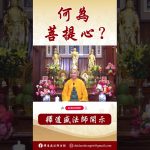 【法師法語】何為「 四無量心」？#學佛 #念佛 #佛教 #法師#阿彌陀佛 #channel #釋道盛法師 #youtubeshorts