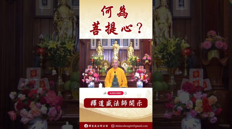 【法師法語】何為「 四無量心」？#學佛 #念佛 #佛教 #法師#阿彌陀佛 #channel #釋道盛法師 #youtubeshorts