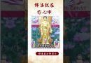 【法師法語】你知道嗎？佛法就在世間上，它並不遙遠#阿彌陀佛 #佛教 #學佛 #https#法語 #法師法語