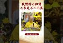 【法師法語】你知道嗎？其實我們的心和佛心本是不二不異  |釋道盛法師法語 #佛教 #佛法 #修行 #釋道盛法師法語 #學佛