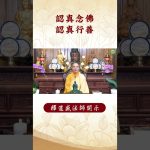 【法師法語】修行人必須要做什麽？不可不看的影片！｜釋道盛法師法語