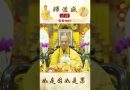 【法師法語】如是因如是果｜釋道盛法師法語