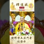 【法師法語】對修淨土法門者的啟示｜釋道盛法師法語