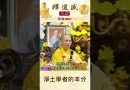 【法師法語】淨土學者的本分｜釋道盛法師法語
