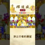 【法師法語】淨土行者的願望.1｜釋道盛法師法語