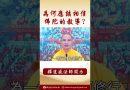 【法師法語】為何你要相信釋迦牟尼佛的教導？ #阿彌陀佛 #學佛 #念佛 #佛弟子 #正能量 #佛教 #釋道盛法師法語