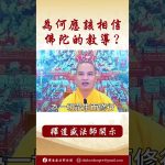 【法師法語】為何你要相信釋迦牟尼佛的教導？ #阿彌陀佛 #學佛 #念佛 #佛弟子 #正能量 #佛教 #釋道盛法師法語