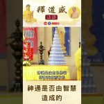 【法師法語】神通是否由智慧造成的?｜釋道盛法師法語
