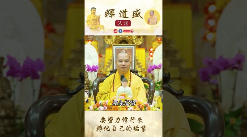 【法師法語】要努力修行來轉化自己的垢業｜釋道盛法師法語