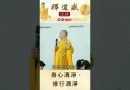 【法師法語】身心清淨，修行清淨｜釋道盛法師法語