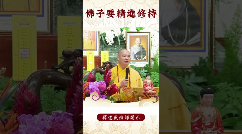 【法師法語】身爲修行者你要注意什麽？｜釋道盛法師法語